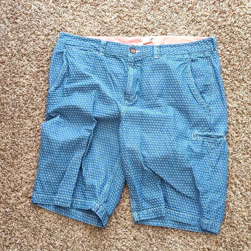 Carbon 2 Cobalt Men's Shorts 36
